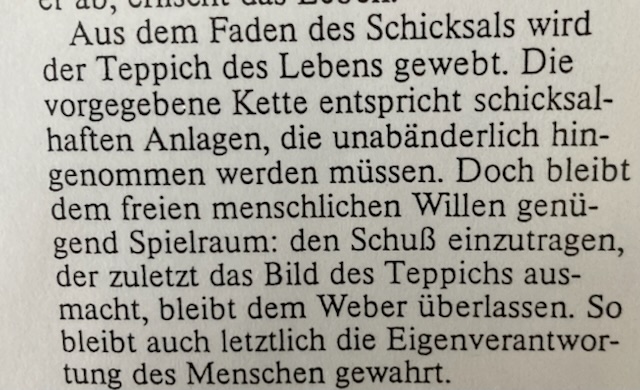 Die Chance des Lebens